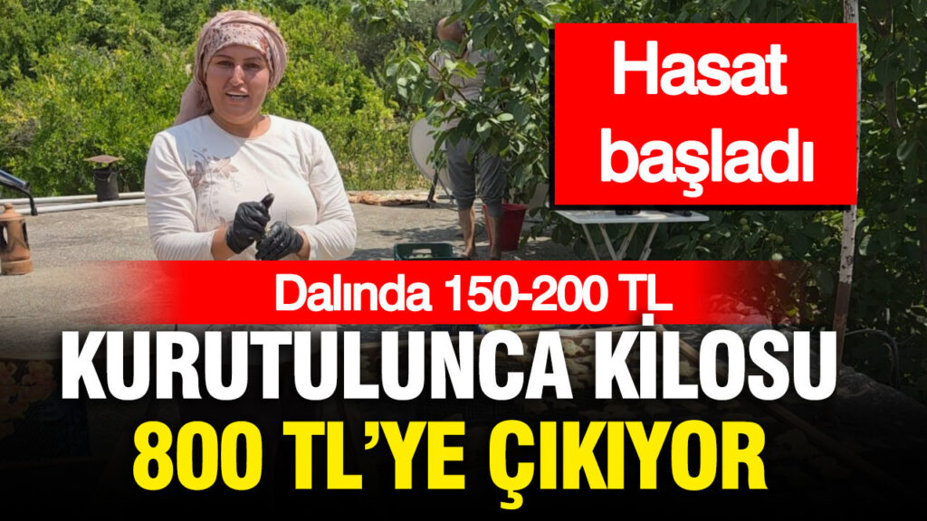 haber-gorseli-1786463315508